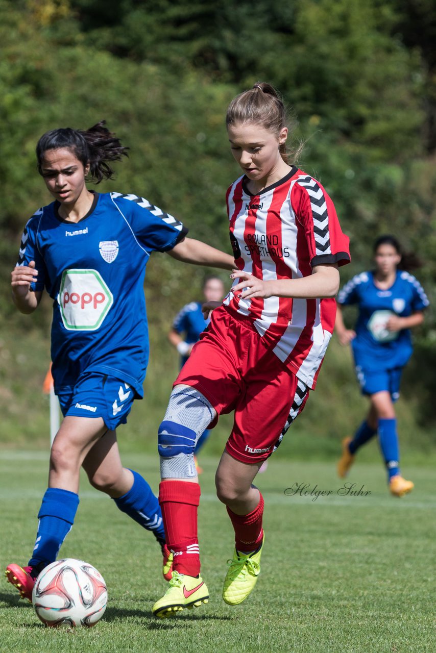 Bild 172 - B-Juniorinnen TuS Tensfeld - FSC Kaltenkirchen : Ergebnis: 3:6